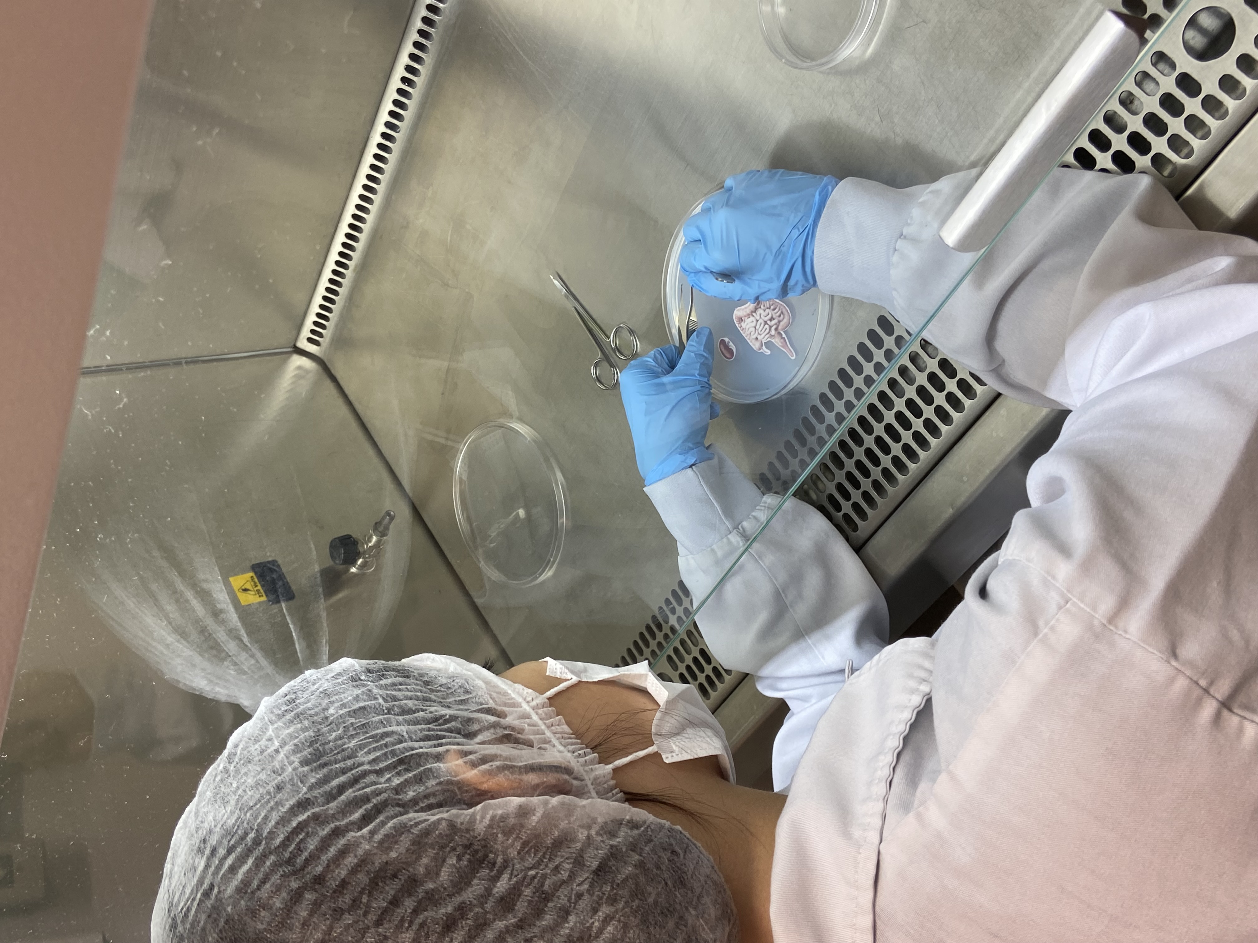 Estudantes vivenciam experiência no laboratório do SCQA
