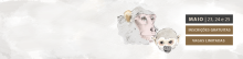 banner-workshop-pnh.png