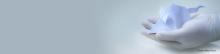 banner_site_pos_metodos_alternativos_ictb_fiocruz.jpg