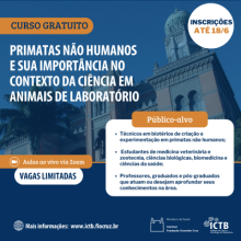 _instagram_curso_phn_1.png