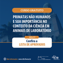 _instagram_curso_phn.png