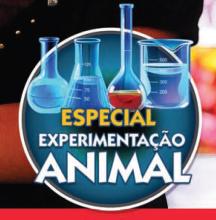 Especial experimentação.jpg