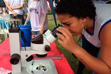 festivalciencia_300px.jpg