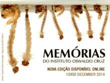 memorias-dezembro.jpg