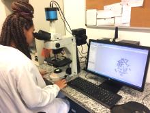 meninas-na-ciencia-ictb-fiocruz-2020-1.jpg