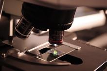 microscope-385364_640.jpg