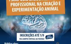 imagem-destaque-maior