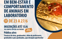 Cartaz curso bem-estar animal