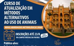 CURSO MÉTODOS ALTERNATIVOS 2026